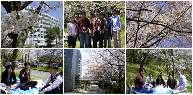 春の陽気にさそわれて、ささやかなお花見会